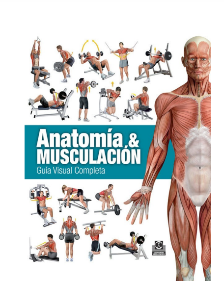 ANATOMIA Y MUSCULACION