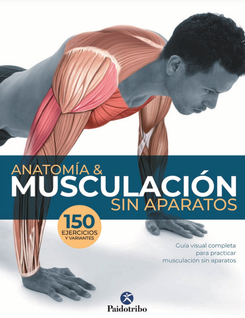 ANATOMIA Y MUSCULACION SIN APARATOS