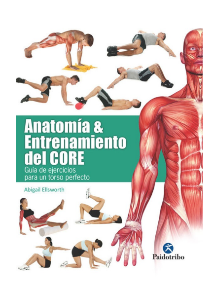 ANATOMIA Y ENTRENAMIENTO DEL CORE