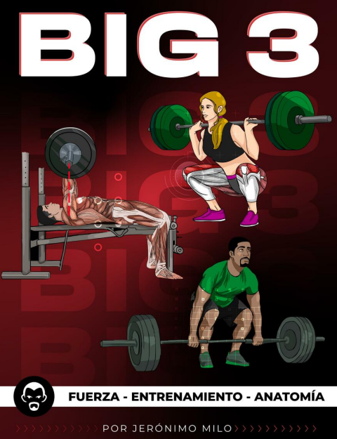 BIG 3 (FUERZA, ENTRENAMIENTO, ANATOMIA)