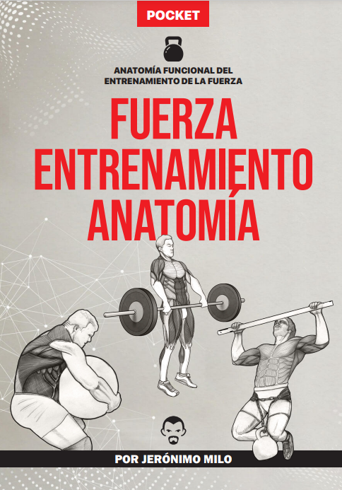 ANATOMIA FUNCIONAL DEL ENTRENAMIENTO DE LA FUERZA (FUERZA, ENTRENAMIENTO, ANATOMIA)
